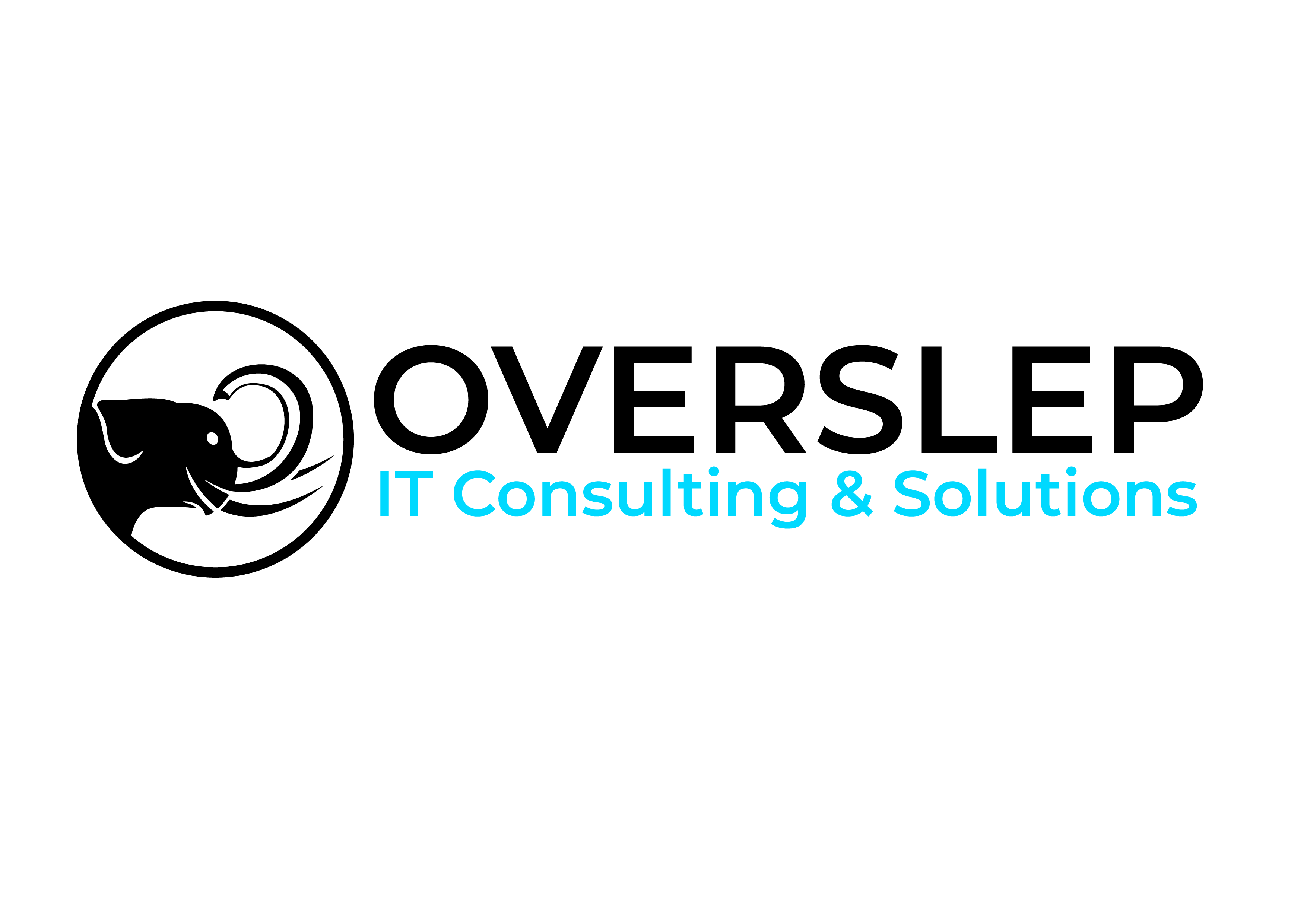 Overslep IT Consulting & Solutions